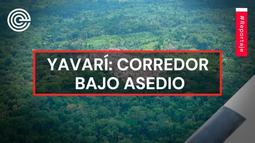 Yavarí: corredor bajo asedio ,Epicentro TV