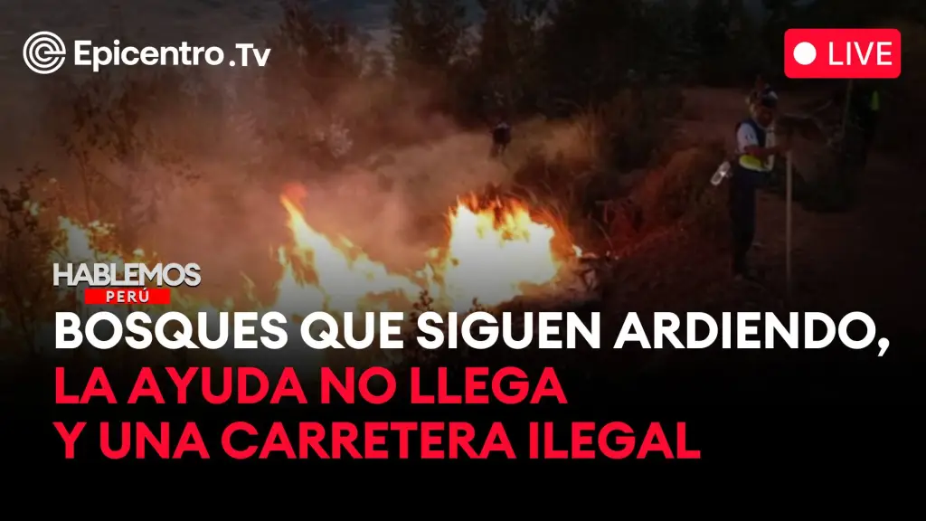 Nadie habla de los incendios forestales, pero éstos continúan ,Epicentro TV