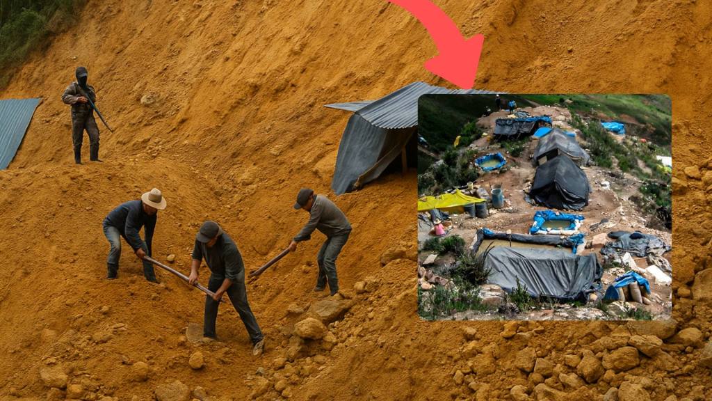 Relacionan una mayor biodiversidad alimentaria con un menor riesgo de mortalidad en personas mayores – Infosalus