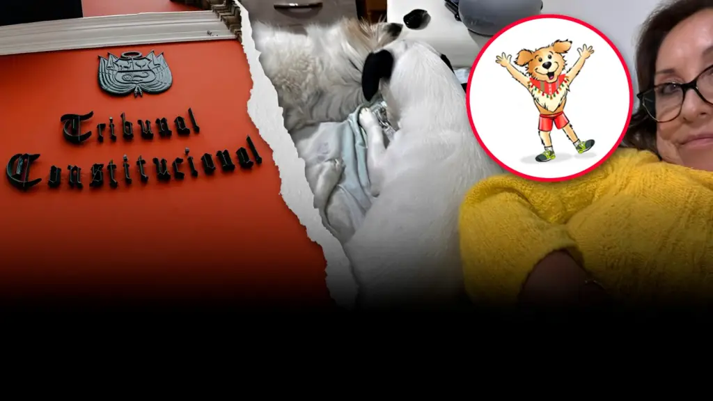 Plan electoral de Porky| TC blinda a Dina| Paro agrario por Ley Chlimper| Marianella Ledesma en vivo ,Epicentro Tv