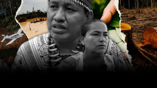 Donde sobreviven los invisibles. Ucayali: El asedio del crimen organizado ,Epicentro TV