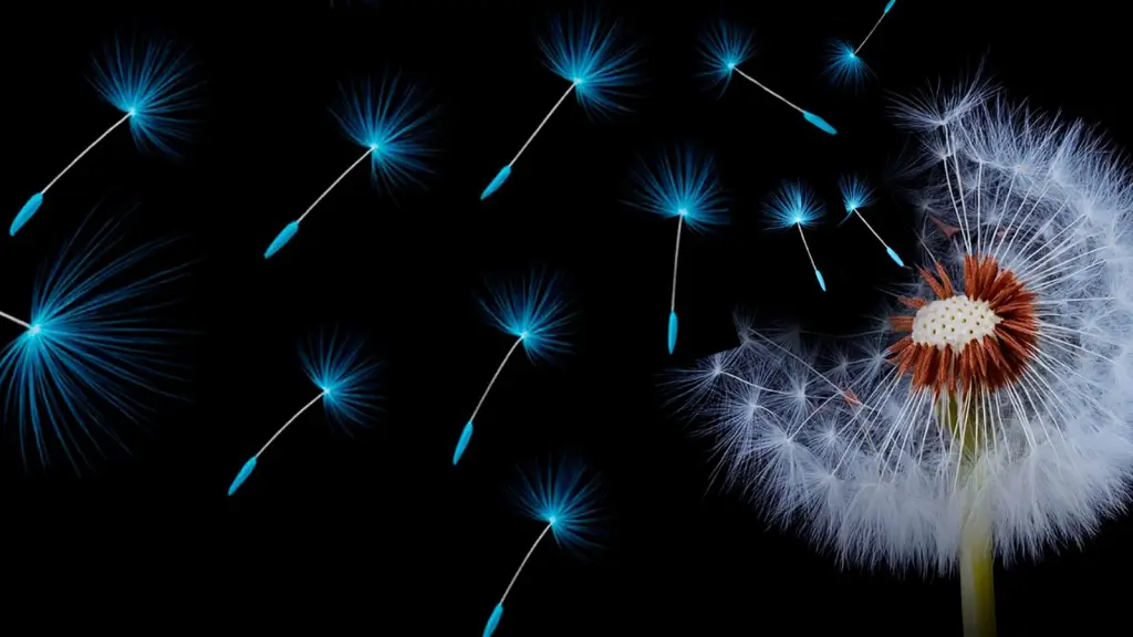 La extranjera ,Epicentro TV