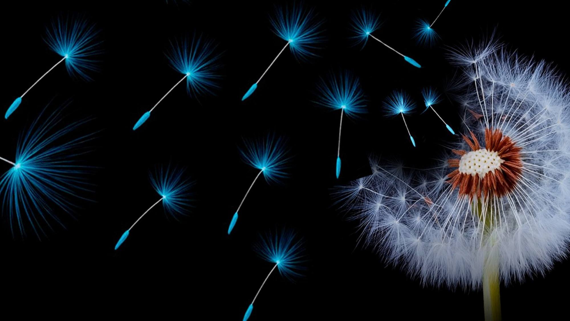 La extranjera, Epicentro TV