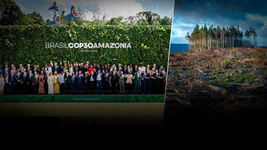 COP30 en Belém: el poder de la Amazonía y la urgencia de la acción climática ,Epicentro TV