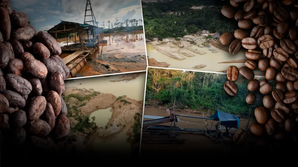 Cajamarca: crisis por minería ilegal | Arequipa: mentira de las elecciones | Mesías Guevara en vivo ,Epicentro TV