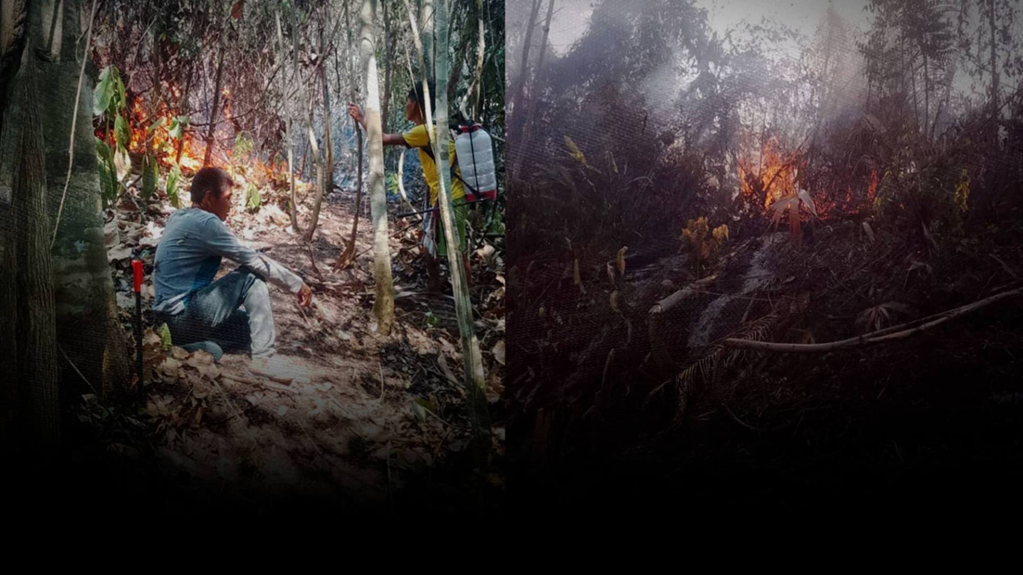 Incendio en Satipo: daños e impactos en la Reserva de Biósfera Avireri Vraem y Cuenca del Río Ene, Foto: Composición
